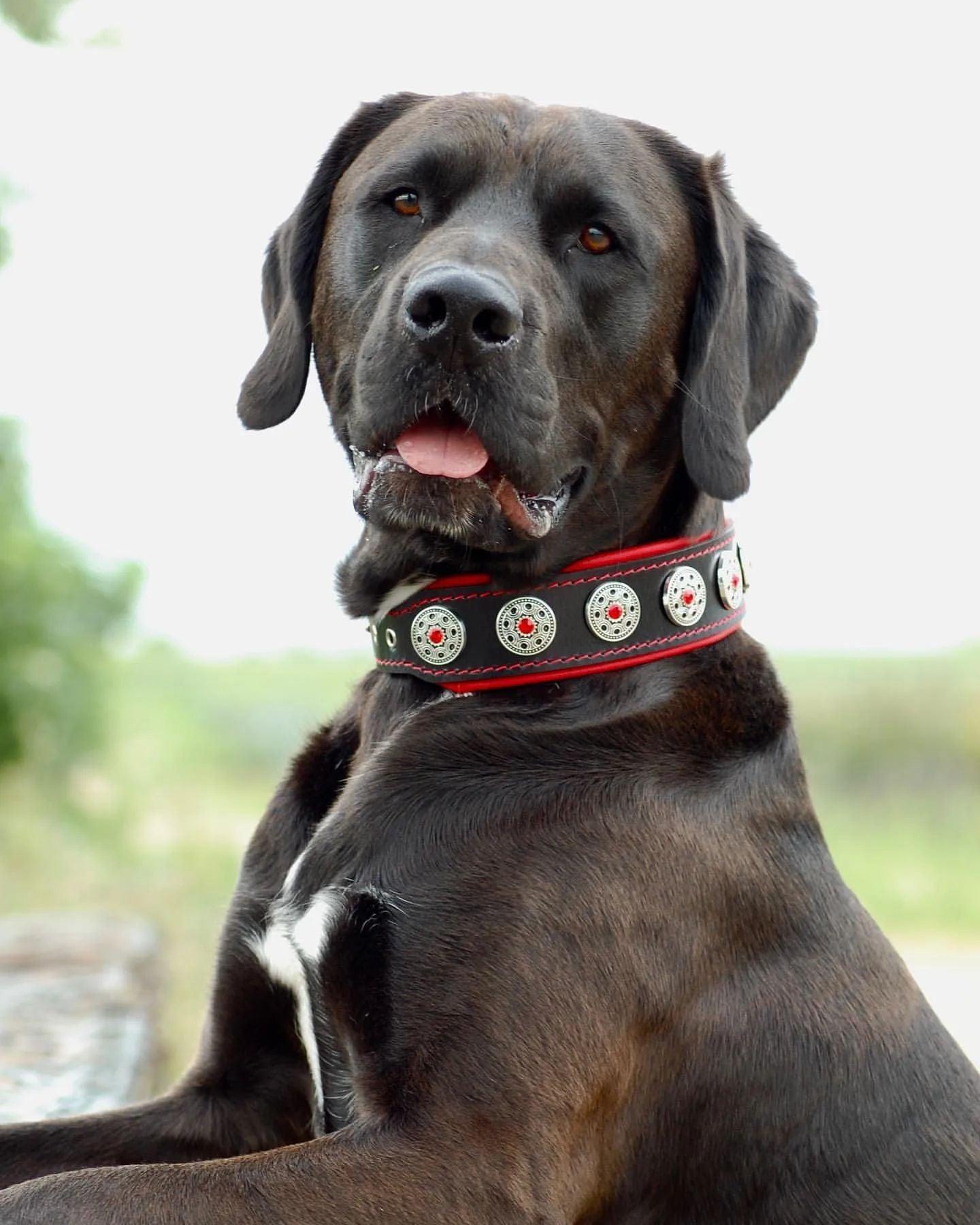 Bijou black & red collar