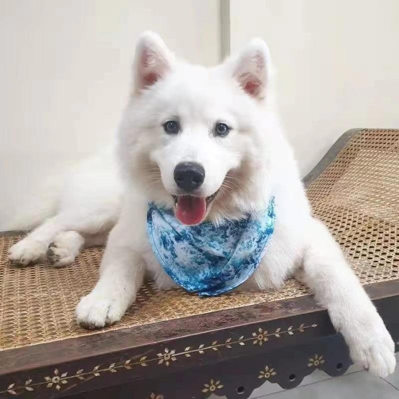 Bandana ocean blue