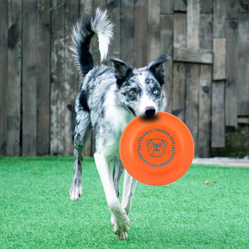 Standard Competition Pet Dog Flying Discs Funny Dog Toy Training Flying Discs Interactive Bite Resistant Silica Gel Soft Toys