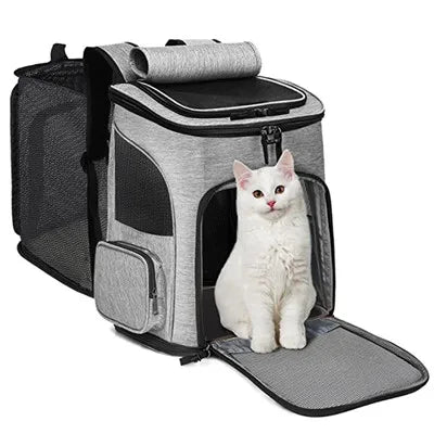 Pet Cat Dog Slow Food Bowl Fat Help Healthy Round Anti-choking Thickened And Non-slip Multiple Colors Shapes