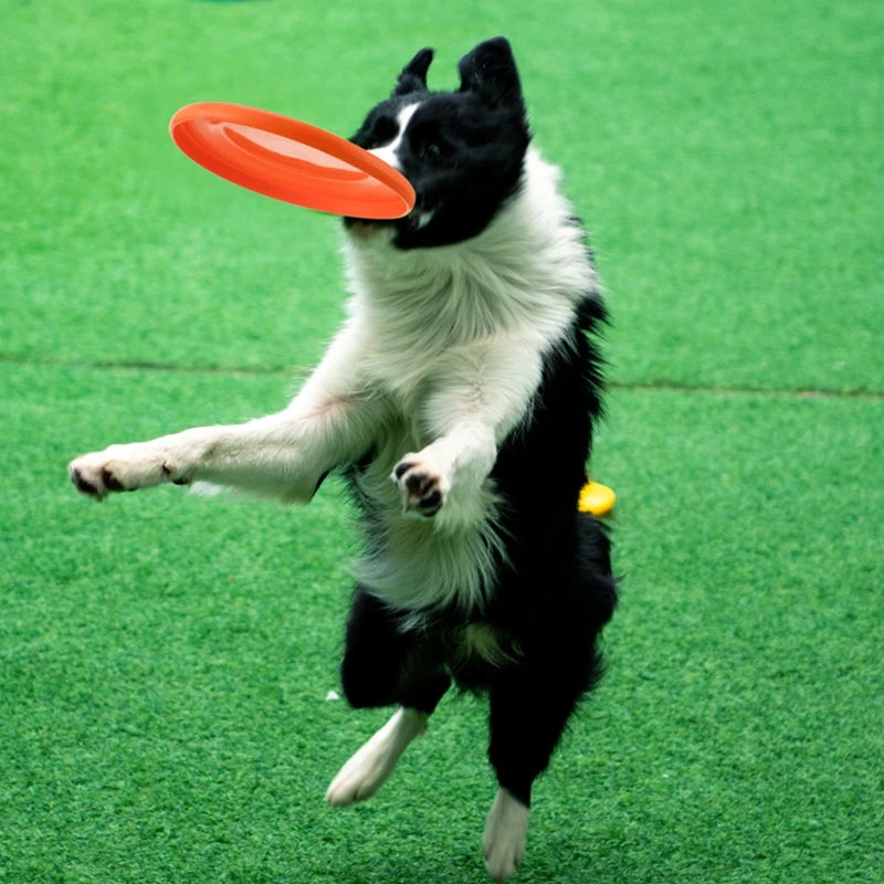 Standard Competition Pet Dog Flying Discs Funny Dog Toy Training Flying Discs Interactive Bite Resistant Silica Gel Soft Toys