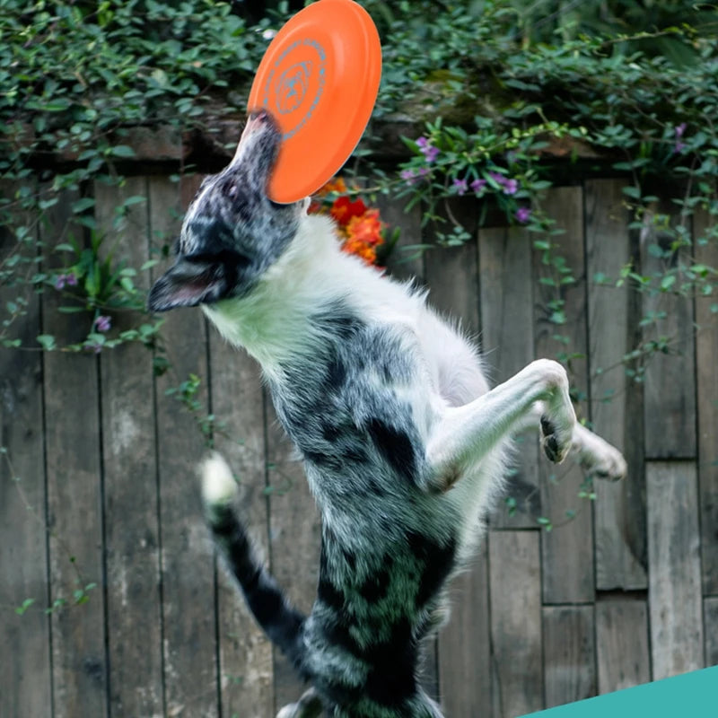 Standard Competition Pet Dog Flying Discs Funny Dog Toy Training Flying Discs Interactive Bite Resistant Silica Gel Soft Toys
